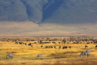 tanzania itinerary