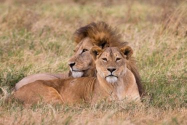 tanzania itinerary