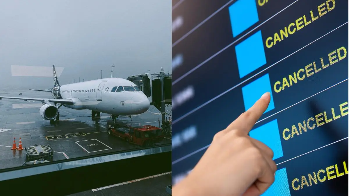 Winter Fog Alert: Airlines Must Notify Passengers Of Flight Delays Before They Leave For Airport