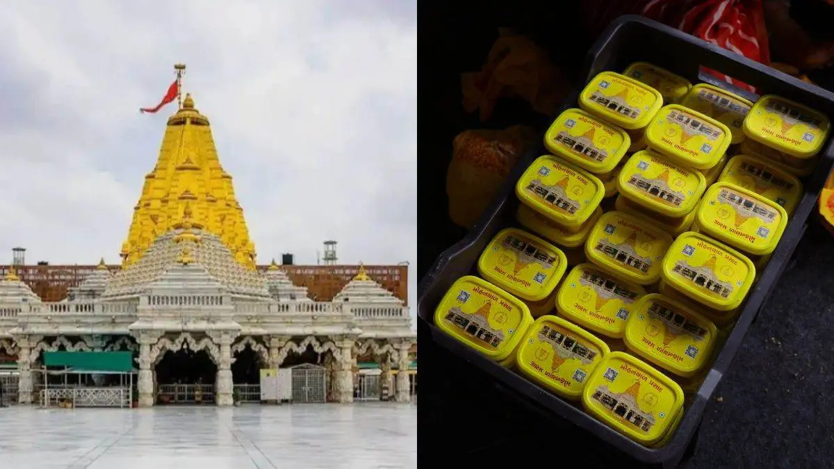 Gujarat: Ambaji Temple’s Mohanthal Prasad Gets GI Tag; Here’s Why This Besan Sweet Is So Special