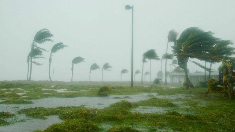 Cyclone Alert In Andhra, Odisha; IMD Warns Of Heavy Rain, Storm Likely To Make Landfall On Oct 28