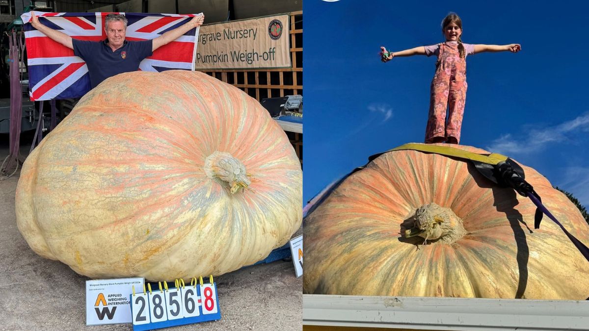 World’s Heaviest Pumpkin Weighs 1,295 Kg, Named After The Jungle Book Character
