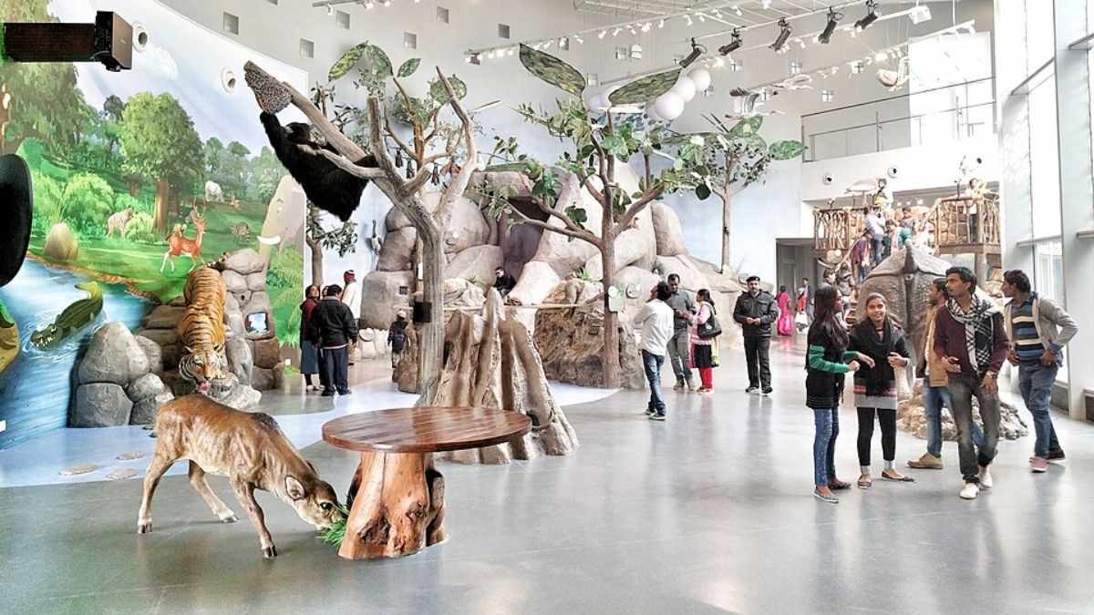 Bihar Museum Ranks 9th In World’s 100 Best Museums List; Only Asian Museum In Top 10