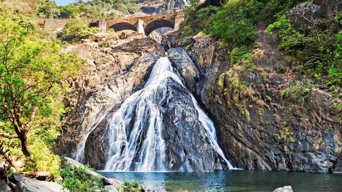 Goa’s Dudhsagar Falls Reopens For Tourists: Time, Entry Rules, What To Know Before Visiting