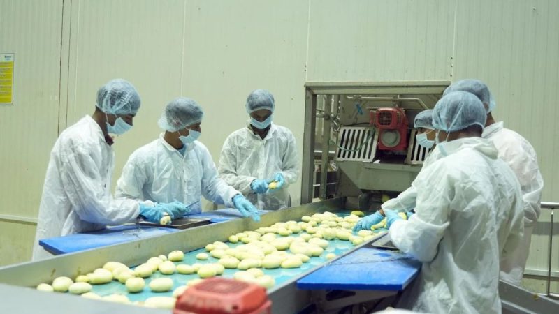 Did You Know Gujarat Has A ₹51.65 Crore French Fries Processing Plant? PM Modi Shares Glimpse