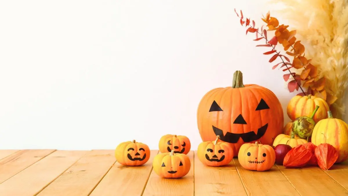 Halloween: Over 1 Billion Pounds Of Pumpkins End Up In US Landfills After Celebrations