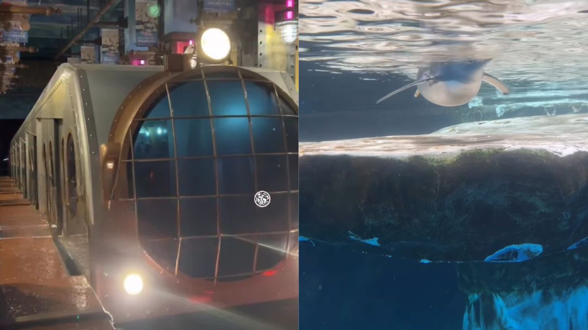 Video: Hong Kong Has A Train That Turns 4-Min Journey Into An Underwater Adventure