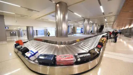 From Food To Medicines, Indian Embassy Warns UAE Travellers About Banned Items And Penalties