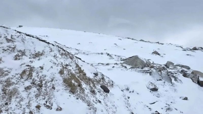 In Pics: J&K Turns Into Winter Wonderland As Fresh Snowfall Covers Gorgeous Peaks