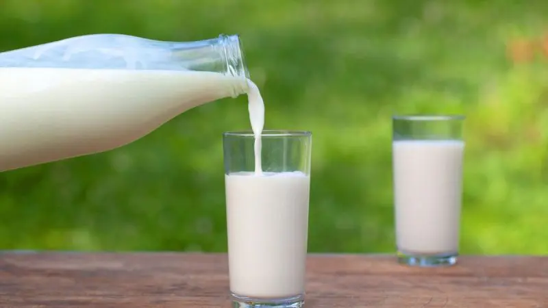 Karnataka Hikes Milk Prices By ₹8 Per Litre From November 1; All You Need To Know!
