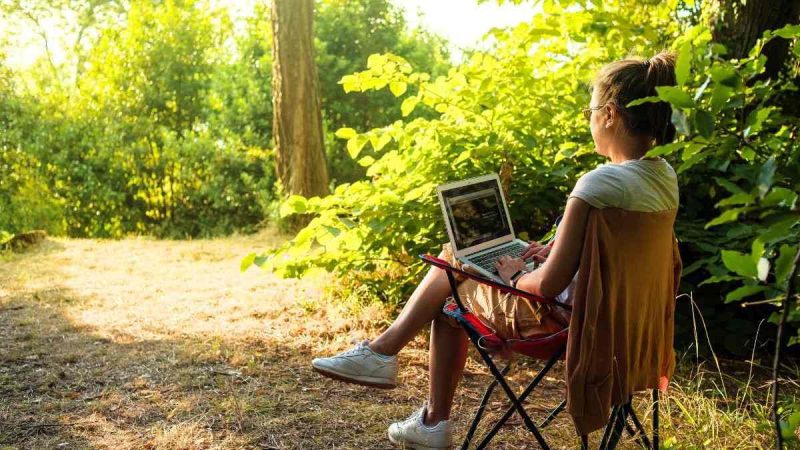WFH Folks, Pack Your Laptops! Keralam Wants You To Work From A Forest