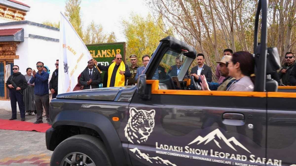 Ladakh Launches Snow Leopard Safari In Open Vehicles: Routes, Price, Best Spots & More