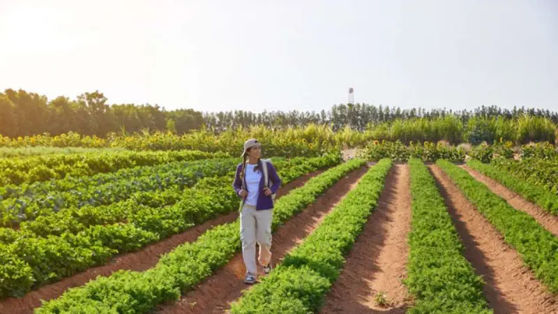 What Is UAE’s ‘Nama Initiative’ & How Will It Help Farmers Earn More?