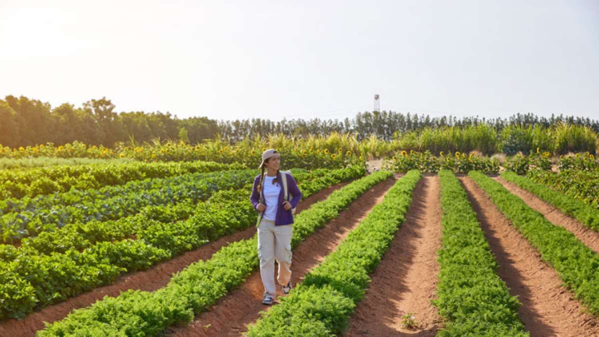 What Is UAE’s ‘Nama Initiative’ & How Will It Help Farmers Earn More?