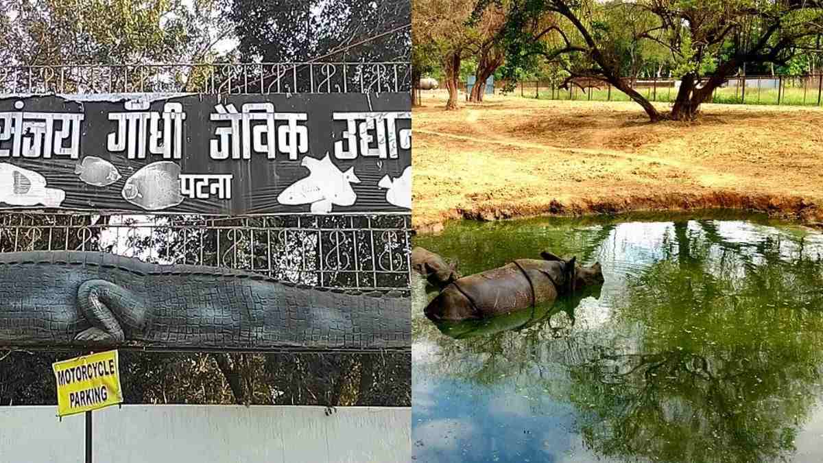 Patna Zoo To Get Food Kiosks & Souvenir Shop; Here’s What Visitors Can Expect