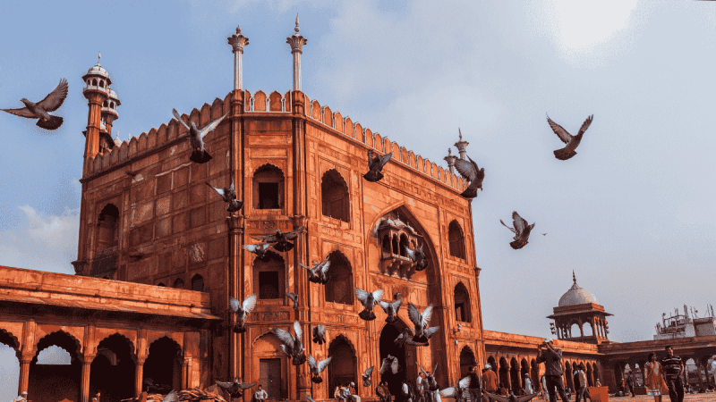 Delhi Ranks 193rd In World’s Friendliest Cities List; Mérida Tops And Paris Ranks 196th