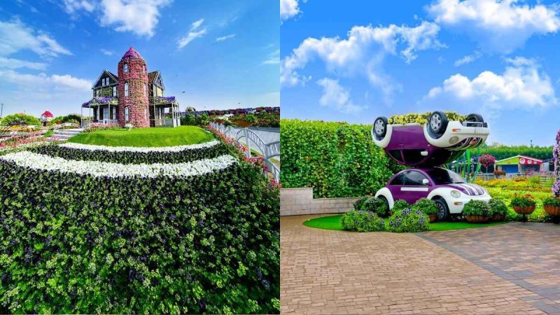 With 200 Million Blooming Flowers, Dubai Miracle Garden Reopens For Season 15